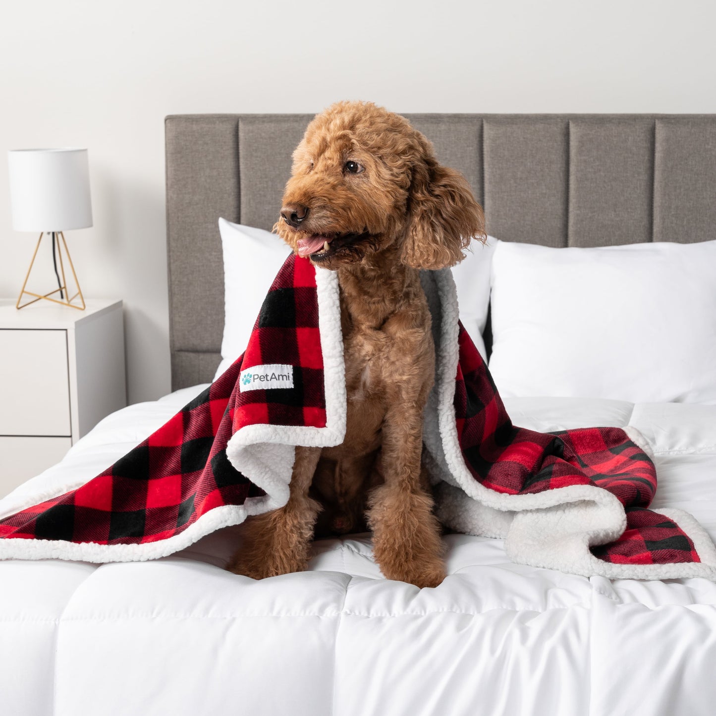 Waterproof Dog Blanket for Small Medium Dog, Pet Puppy Blanket Couch Cover Protection, Sherpa Fleece Cat Blanket Couch Sofa Bed Furniture Protector Reversible Soft Washable 29X40 Checker Red