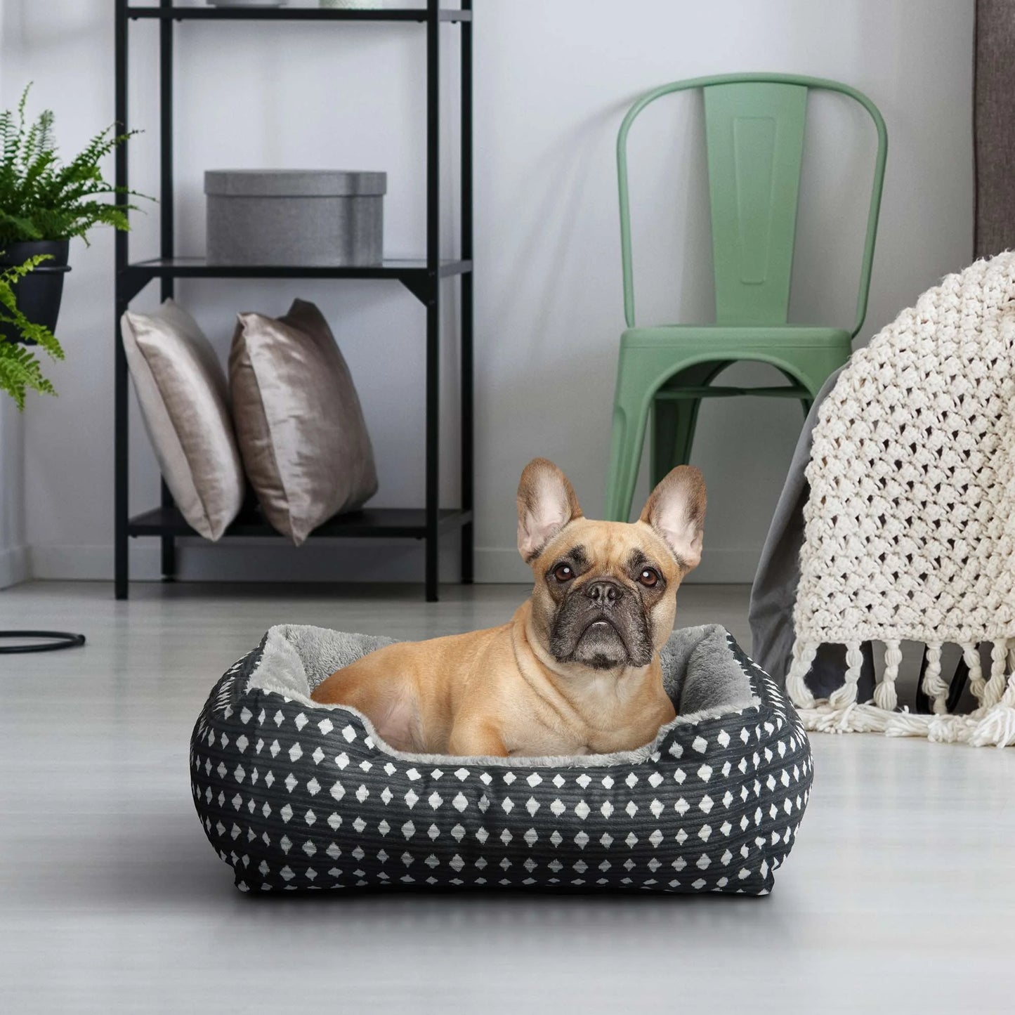 (3 Pack) Cuddler Small Dog or Cat Bed, Black 19" X 15"