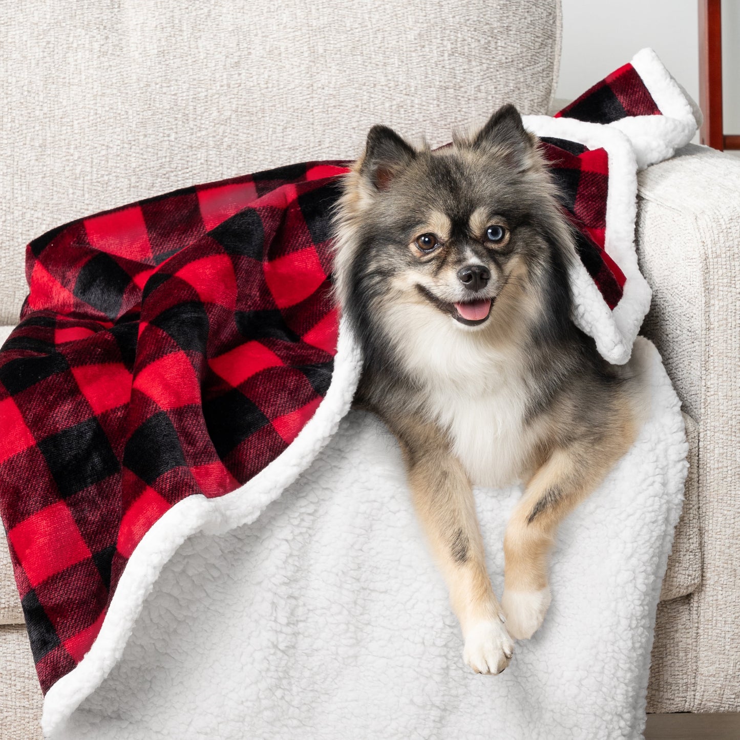 Waterproof Dog Blanket for Small Medium Dog, Pet Puppy Blanket Couch Cover Protection, Sherpa Fleece Cat Blanket Couch Sofa Bed Furniture Protector Reversible Soft Washable 29X40 Checker Red