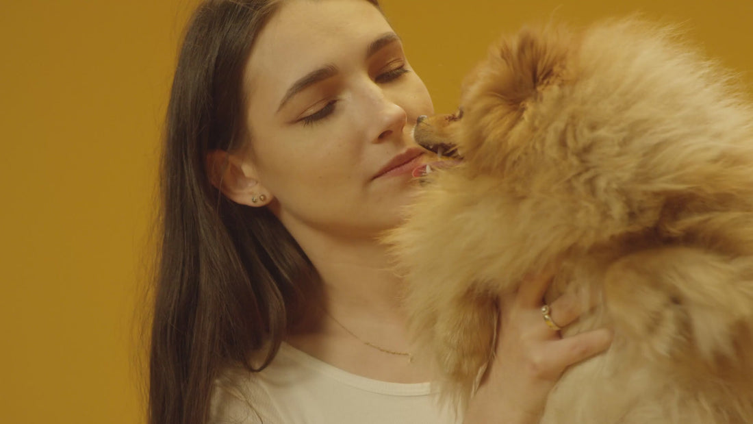 Calmutt Pet Lovers 
